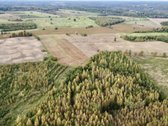 Parduodamas žemės 3,5 ha žemės ūkio - nuotraukos Nr. 3