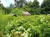 12/25 dalių gyvenamojo namo su žemės sklypo - nuotraukos Nr. 29