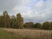 Parduodamas 20 arų namų valdos sklypas - nuotraukos Nr. 5