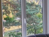 Ant šimtamečio pušyno kalvos, - nuotraukos Nr. 16