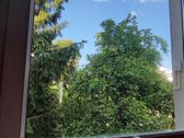 Kaunas, Vilijampolė, Goštautų g. - nuotraukos Nr. 16