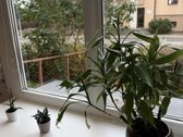 Parduodamas 47,5 m² butas Molėtų centre, - nuotraukos Nr. 2