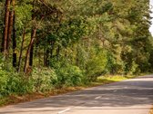 Brandžių pušų apsuptyje, Valakampiuose, - nuotraukos Nr. 18