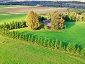 Puikus Pasiūlymas Kokybiškam Poilsiui Ar - nuotraukos Nr. 2