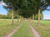 Puikus Pasiūlymas Kokybiškam Poilsiui Ar - nuotraukos Nr. 23