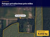 Parduodamas  miškas 9,412 ha Šliurpkiškėse - nuotraukos Nr. 5