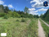 Druskininkai – kurortinis miestas pačiuose - nuotraukos Nr. 4