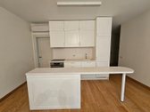 Parduodami Išskirtiniai Apartamentai - nuotraukos Nr. 4