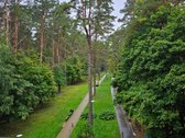 Parduodami Išskirtiniai Apartamentai - nuotraukos Nr. 18
