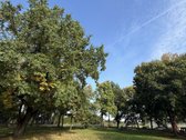 Nuomojamos Patalpos Šiaurės G., Vilkaviškyje - nuotraukos Nr. 16