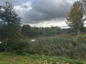 Sodo namas apšiltintas ir apkaltas - nuotraukos Nr. 13
