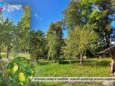 Čirkų K., Širvintų R., Parduodama Jauki - nuotraukos Nr. 4