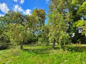 Čirkų K., Širvintų R., Parduodama Jauki - nuotraukos Nr. 5