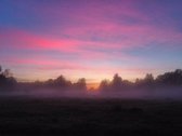 Parduodamas išskirtinis 124 m² A+ klasės - nuotraukos Nr. 20