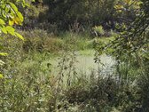 Sklypų unikalus nr. :4400-3871-9109, 4400 - nuotraukos Nr. 2