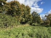 Sklypų unikalus nr. :4400-3871-9109, 4400 - nuotraukos Nr. 4