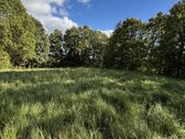 Sklypų unikalus nr. :4400-3871-9109, 4400 - nuotraukos Nr. 6