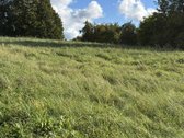 Sklypų unikalus nr. :4400-3871-9109, 4400 - nuotraukos Nr. 11