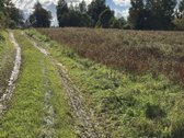 Sklypų unikalus nr. :4400-3871-9109, 4400 - nuotraukos Nr. 12