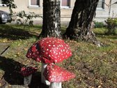 Autonominis, Reguliuojamas Šildymas Name - nuotraukos Nr. 24