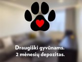Nuomojamas tika po perdažymo ir generalinio - nuotraukos Nr. 20
