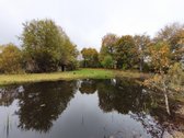 Parduodama erdvi ir privatumą garantuojanti - nuotraukos Nr. 4
