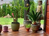 Parduodamas įrengtas rąstinis namas - nuotraukos Nr. 4