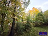 Nuomojamas tvarkingas, įrengtas 1 kambario - nuotraukos Nr. 8
