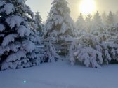 Parduodamas įrengtas rąstinis namas - nuotraukos Nr. 30