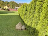 Parduodamas įrengtas rąstinis namas - nuotraukos Nr. 34