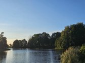 Parduodamas 2,54 ha išpuoselėtas sklypas prie - nuotraukos Nr. 8
