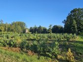 Parduodamas 2,54 ha išpuoselėtas sklypas prie - nuotraukos Nr. 9
