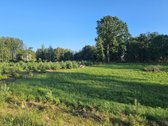 Parduodamas 2,54 ha išpuoselėtas sklypas prie - nuotraukos Nr. 11