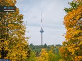 Šviesus, Erdvus 3 Kambarių Butas M. K. - nuotraukos Nr. 26