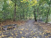 Puikioje ir patogioje vietoje Laisvės pr., - nuotraukos Nr. 15