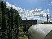 Parduodama sodyba Akmenės mieste – 10 a - nuotraukos Nr. 21
