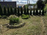 Parduodama sodyba Akmenės mieste – 10 a - nuotraukos Nr. 22