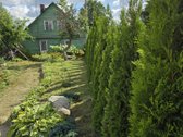Parduodama sodyba Akmenės mieste – 10 a - nuotraukos Nr. 2