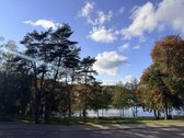 Kultūros paveldo vila „žuvėdra“ – Druskininkų - nuotraukos Nr. 9