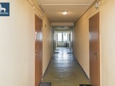Erdvus Butas Šalia Miško – Žaluma Už Langų, - nuotraukos Nr. 10