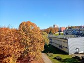 Parduodamas 3 Nepereinamų Kambarių Butas Su - nuotraukos Nr. 12