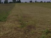 Parduodama sodyba Naudvario km. 2km nuo - nuotraukos Nr. 5