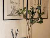 Parduodamas jaukus apartamentas Nidoje su 12 - nuotraukos Nr. 9