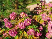 Parduodamas stilingai ir kokybiškai įrengtas - nuotraukos Nr. 50
