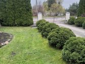 Nuomojamas pilnai įrengtas butas! su sklypu - nuotraukos Nr. 4