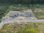 Miško apsuptyje, naujai besiformuojančiame - nuotraukos Nr. 9