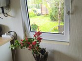 Parduodamas Išpuoselėtas 6 Arų Sodas - nuotraukos Nr. 10