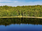 6,38 ha sklypas prie Peršokšnų ežero – 210 - nuotraukos Nr. 5