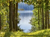 6,38 ha sklypas prie Peršokšnų ežero – 210 - nuotraukos Nr. 9
