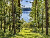 6,38 ha sklypas prie Peršokšnų ežero – 210 - nuotraukos Nr. 8